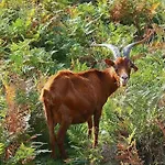 Laendliche Casa Da Rocha By Interhome
