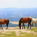 Laendliche Casa Da Rocha By Interhome