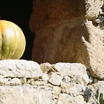 Casa vacanze Laendliche Casa Da Rocha By Interhome