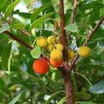 Holiday home Laendliche Casa Da Rocha By Interhome *