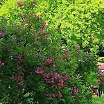 Holiday home Laendliche Casa Da Rocha By Interhome *