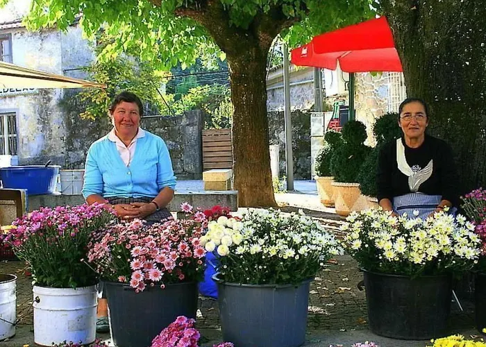 Laendliche Casa Da Rocha By Interhome *