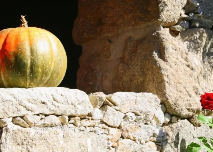 Casa vacanze Laendliche Casa Da Rocha By Interhome