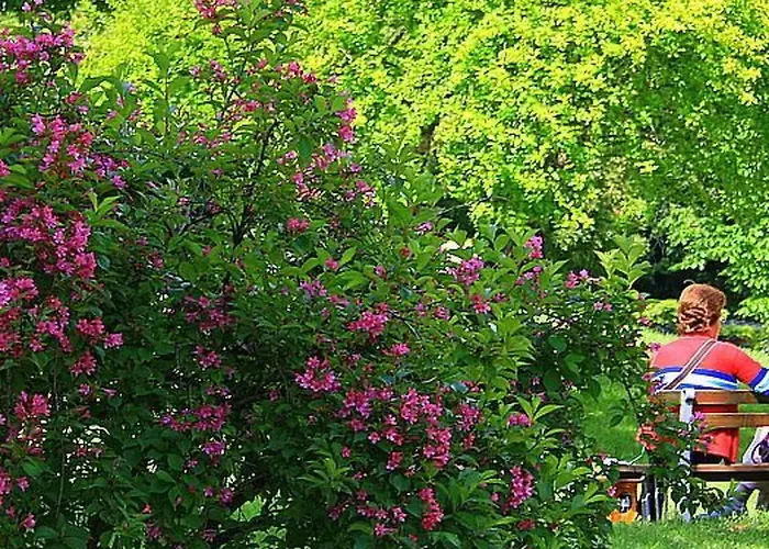 Casa vacanze Laendliche Casa Da Rocha By Interhome *